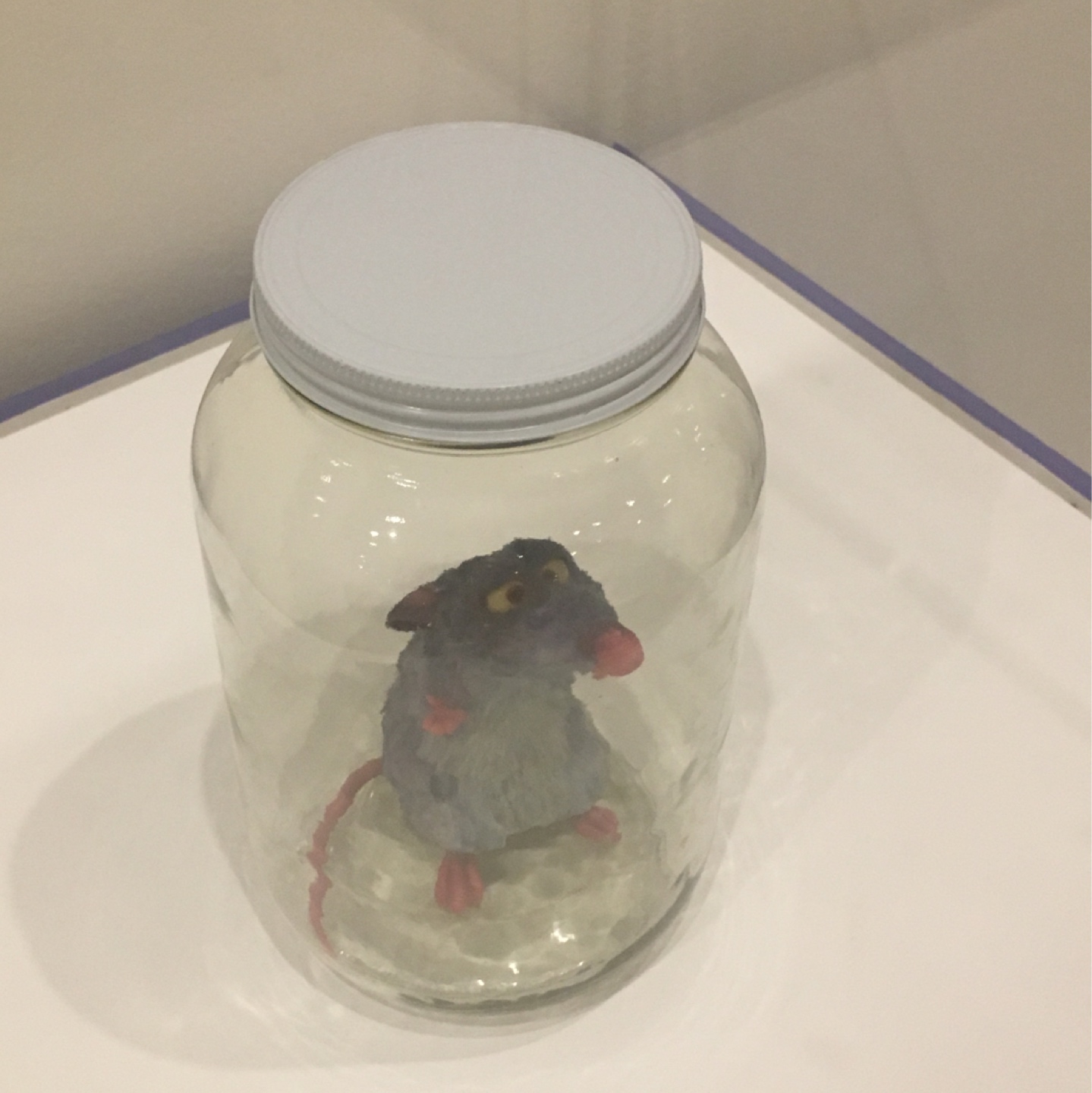 고놈 참 요리 잘하게 생겼네
