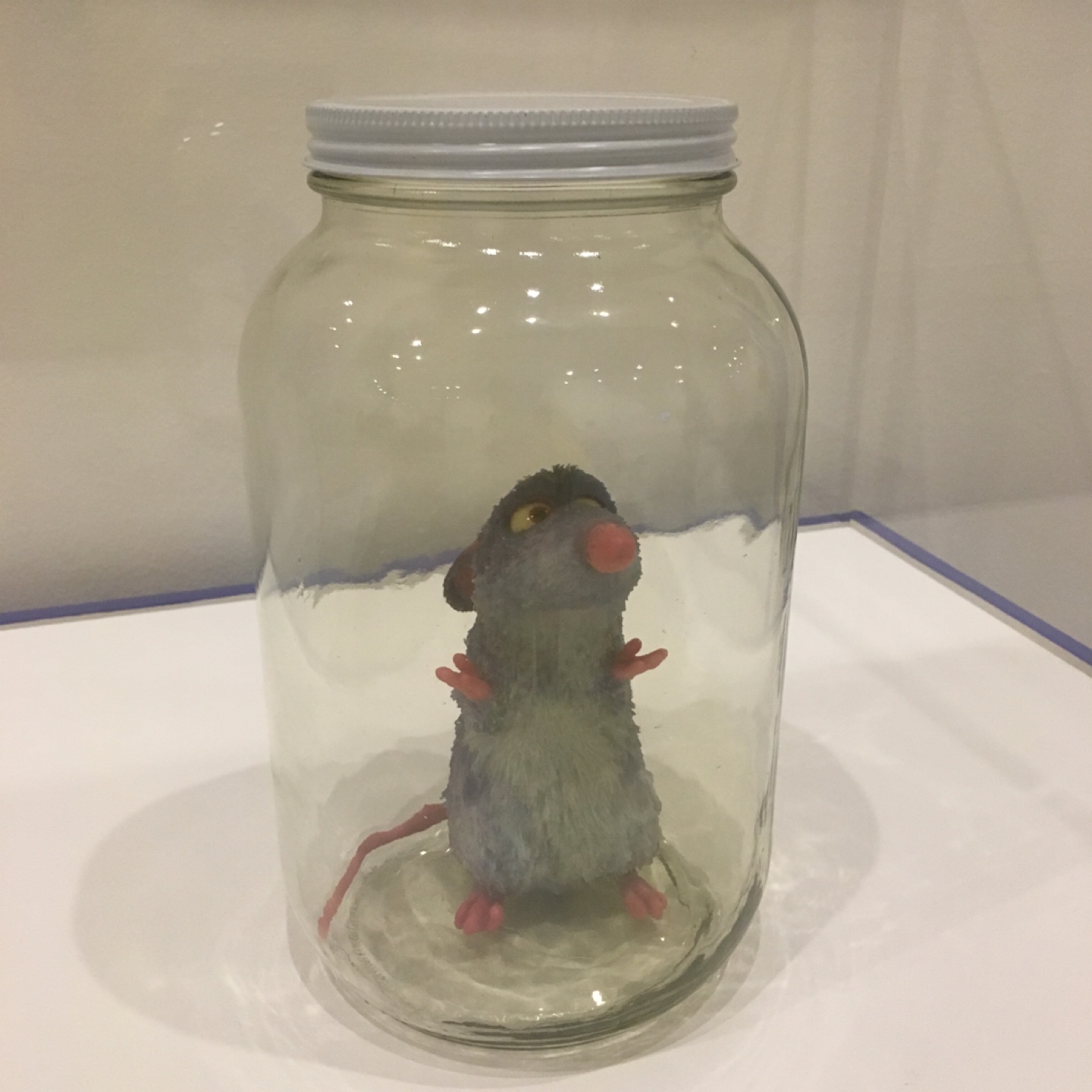 고놈 참 요리 잘하게 생겼네