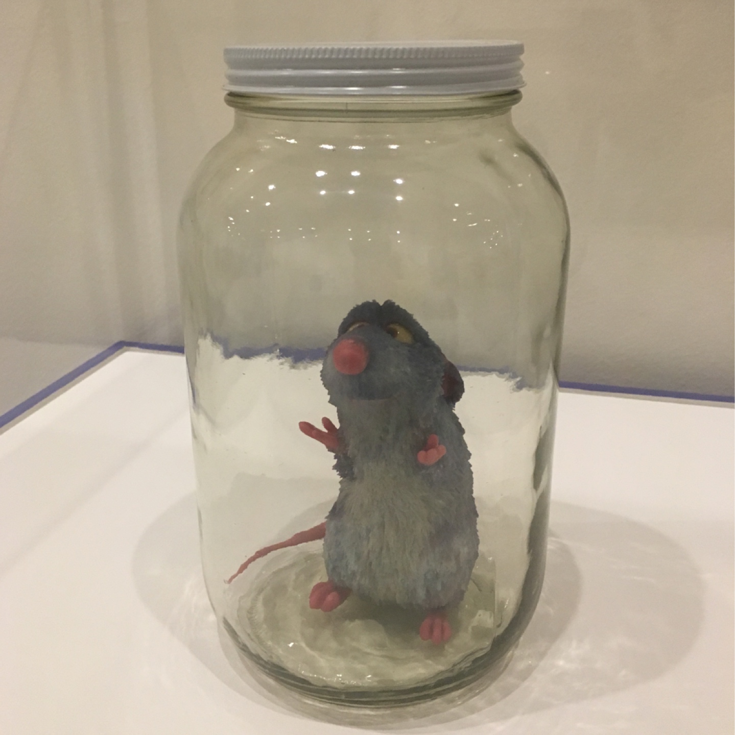 고놈 참 요리 잘하게 생겼네