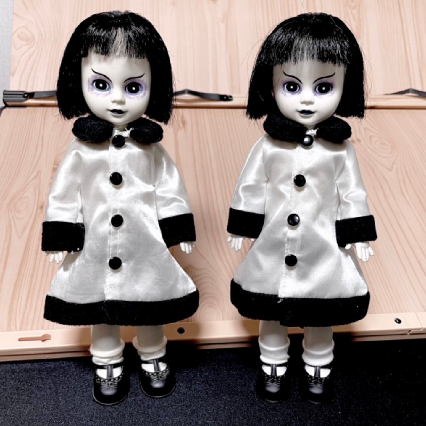 쌍둥이 로티🤍