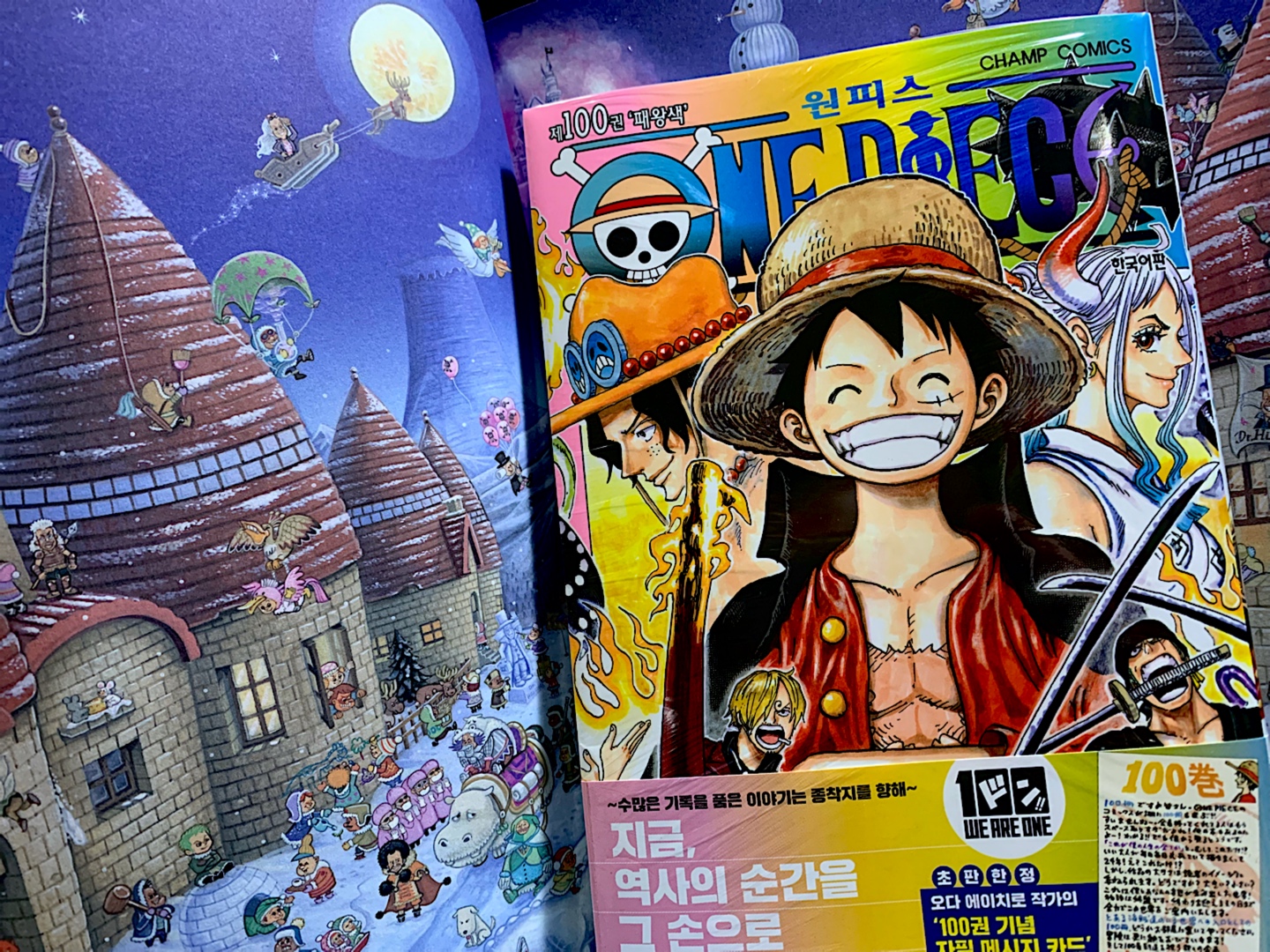 ONE PIECE