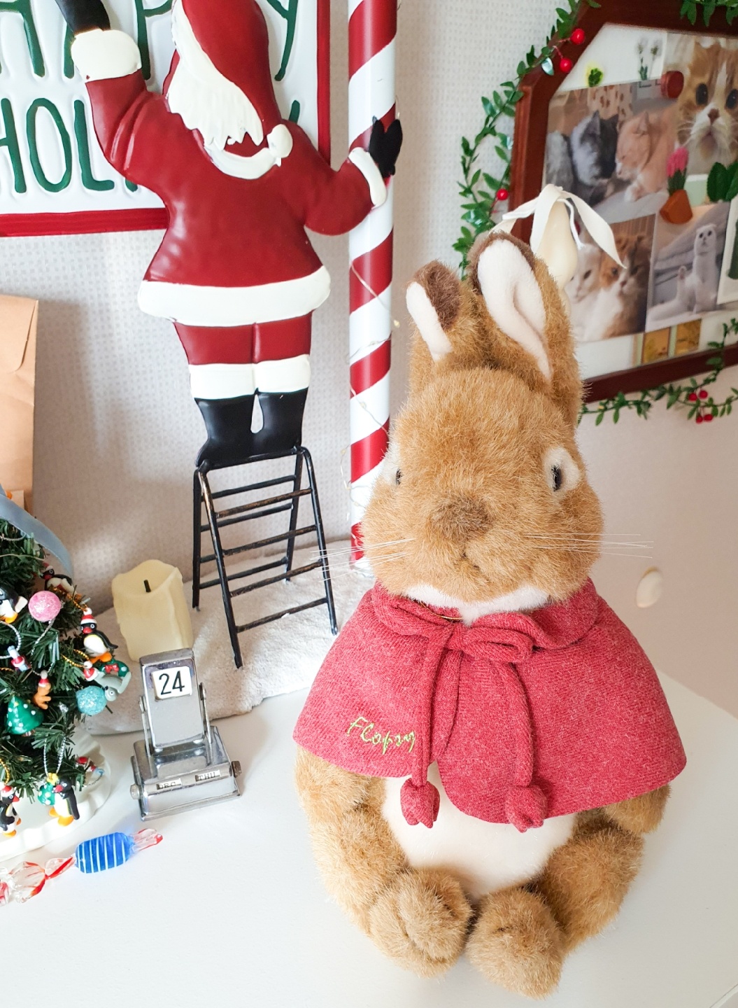 Petter Rabbit dolls