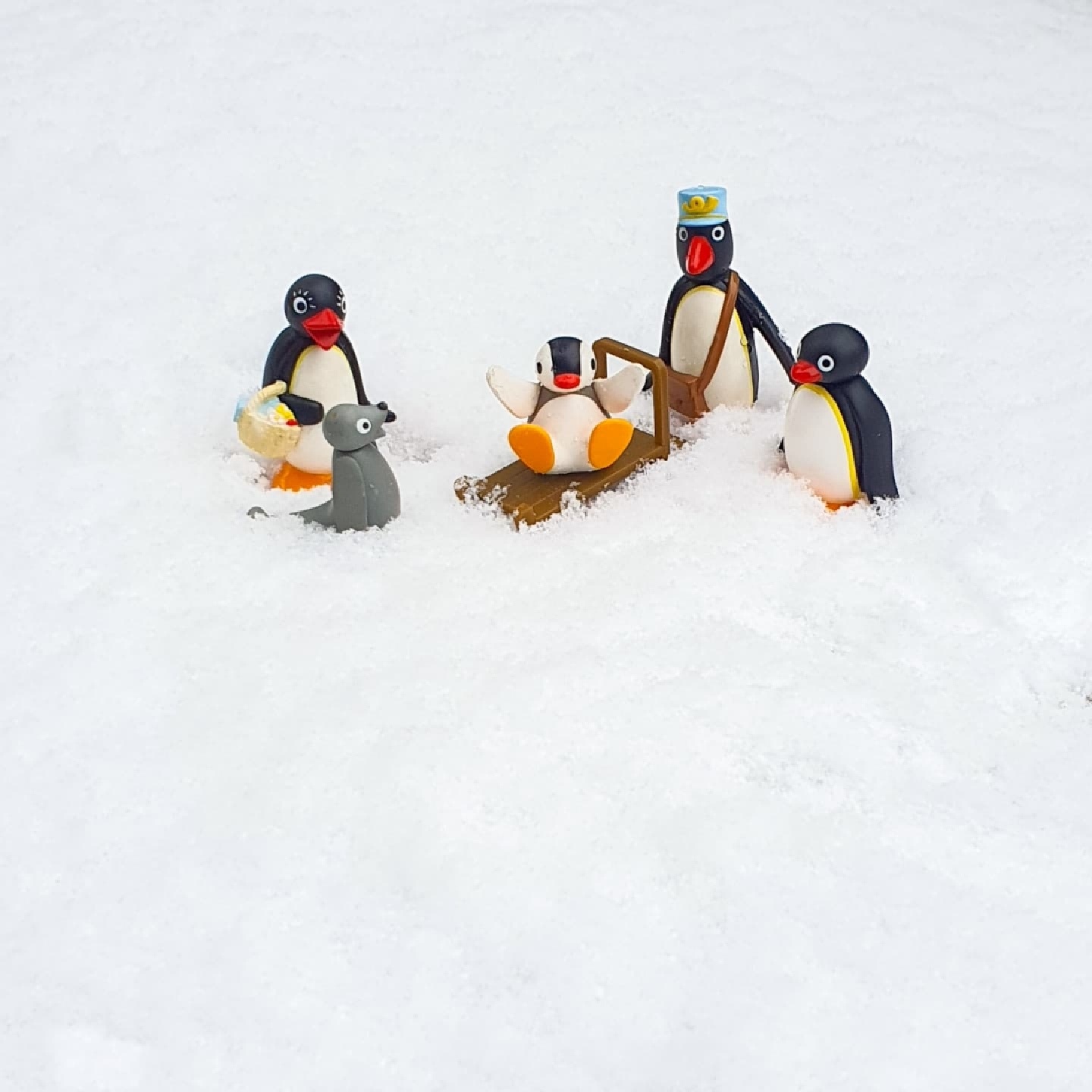 오늘도 핑구🐧❄(찐 내별템)