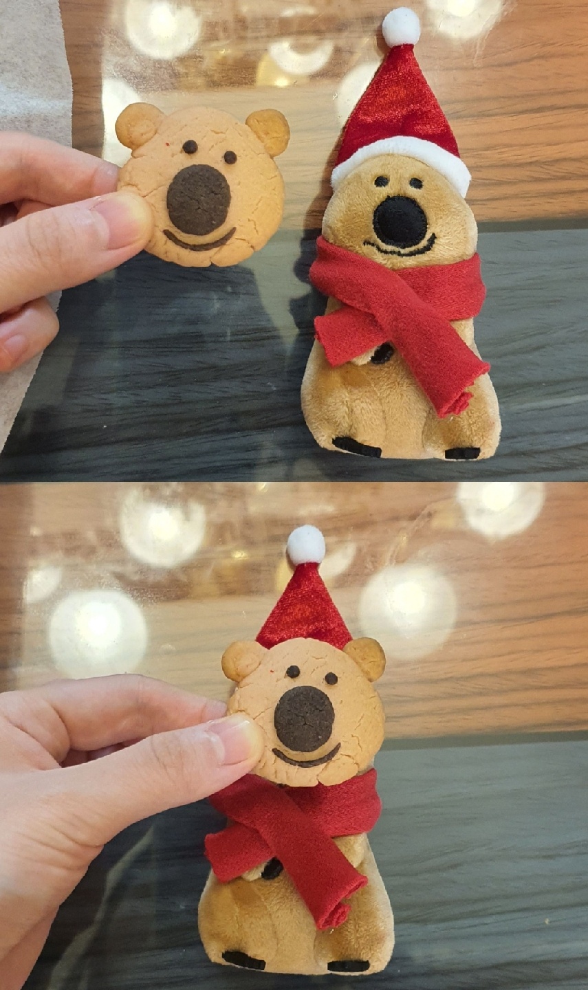 쿼카와 함께하는 겨울