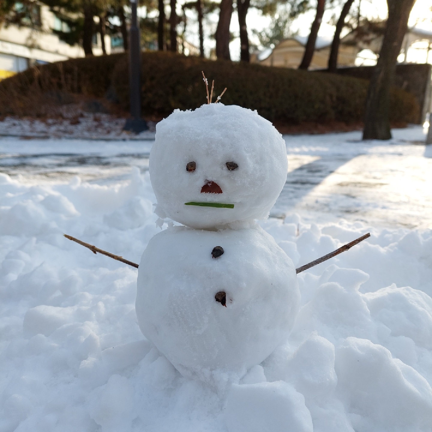 ⛄