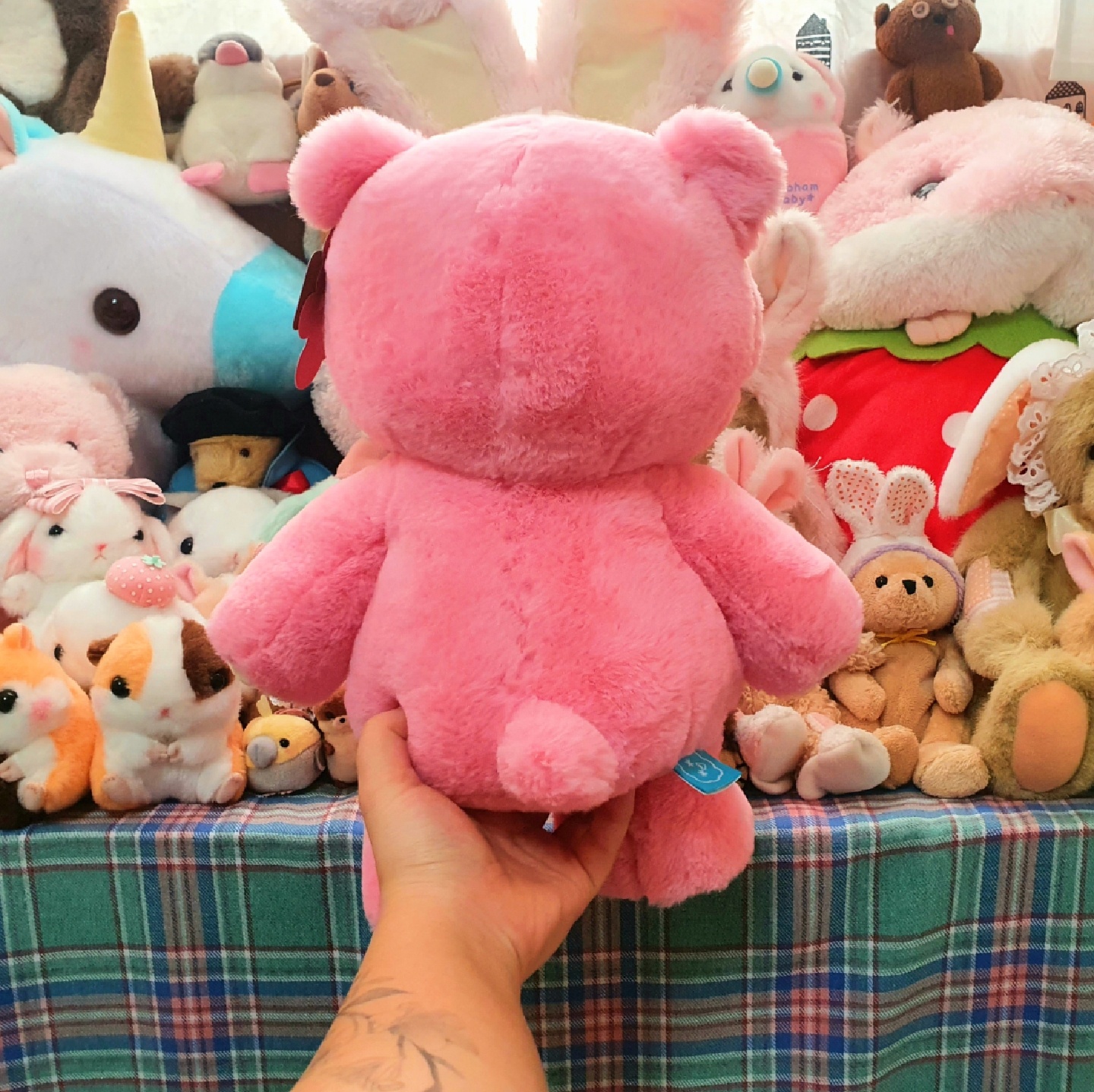 곰젤리 솜인형