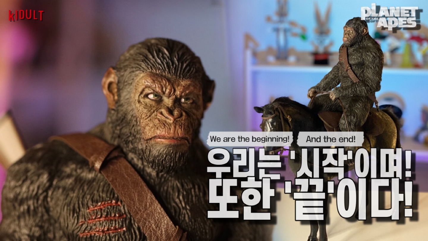Youtube_키베리_kidult berry