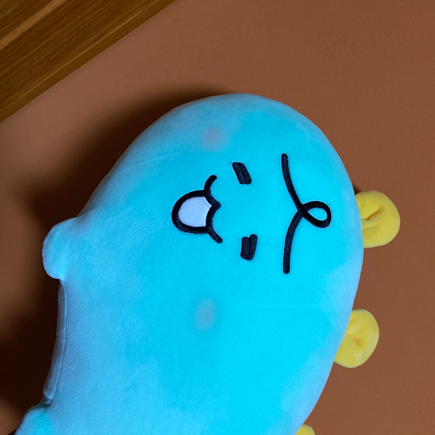 죠르디 