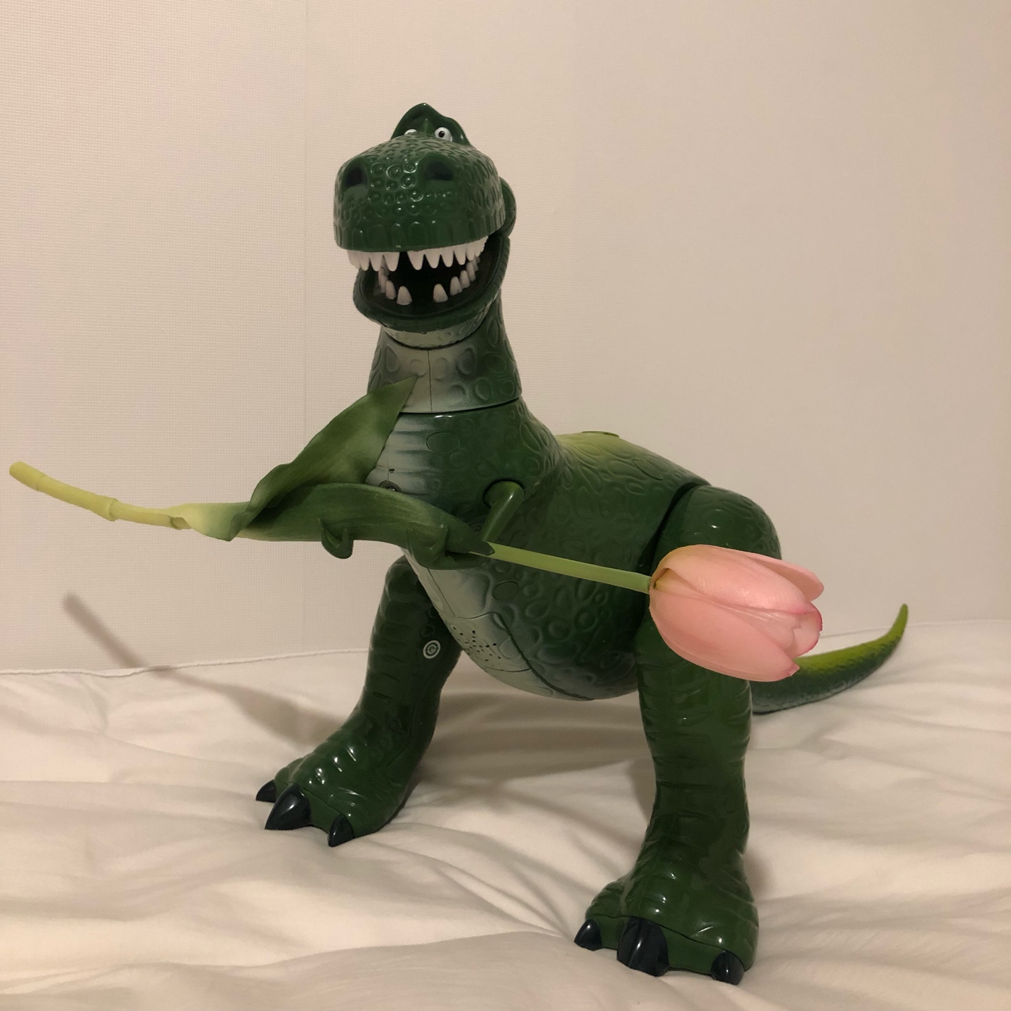 꽃을든 렉스