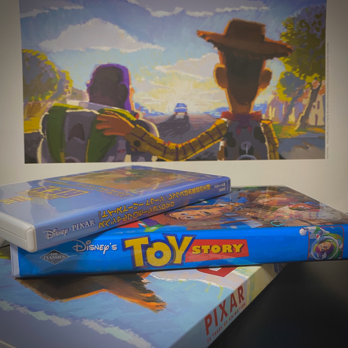 PIXAR
'TOY STORY'