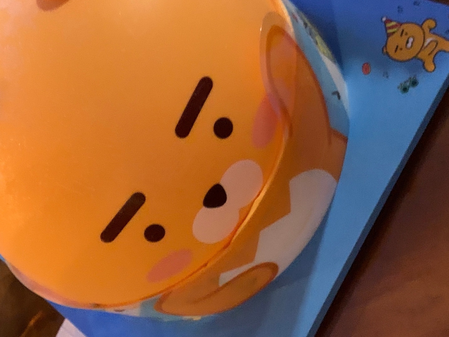 시크릿 라이언