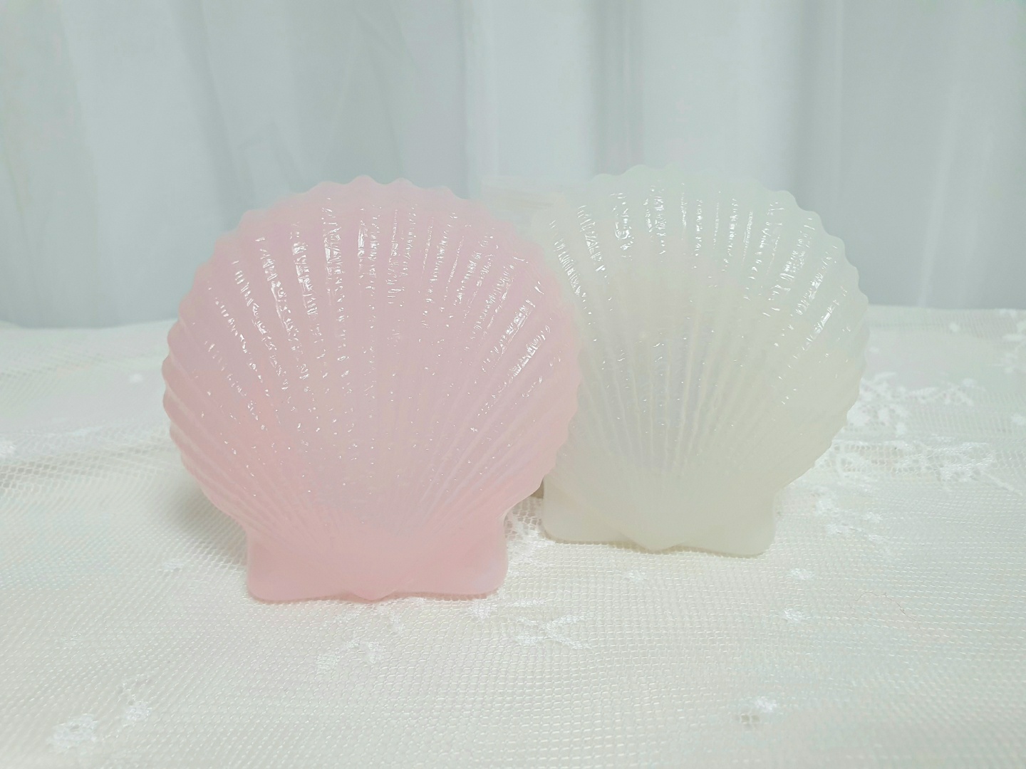 조가비 트레이🐚