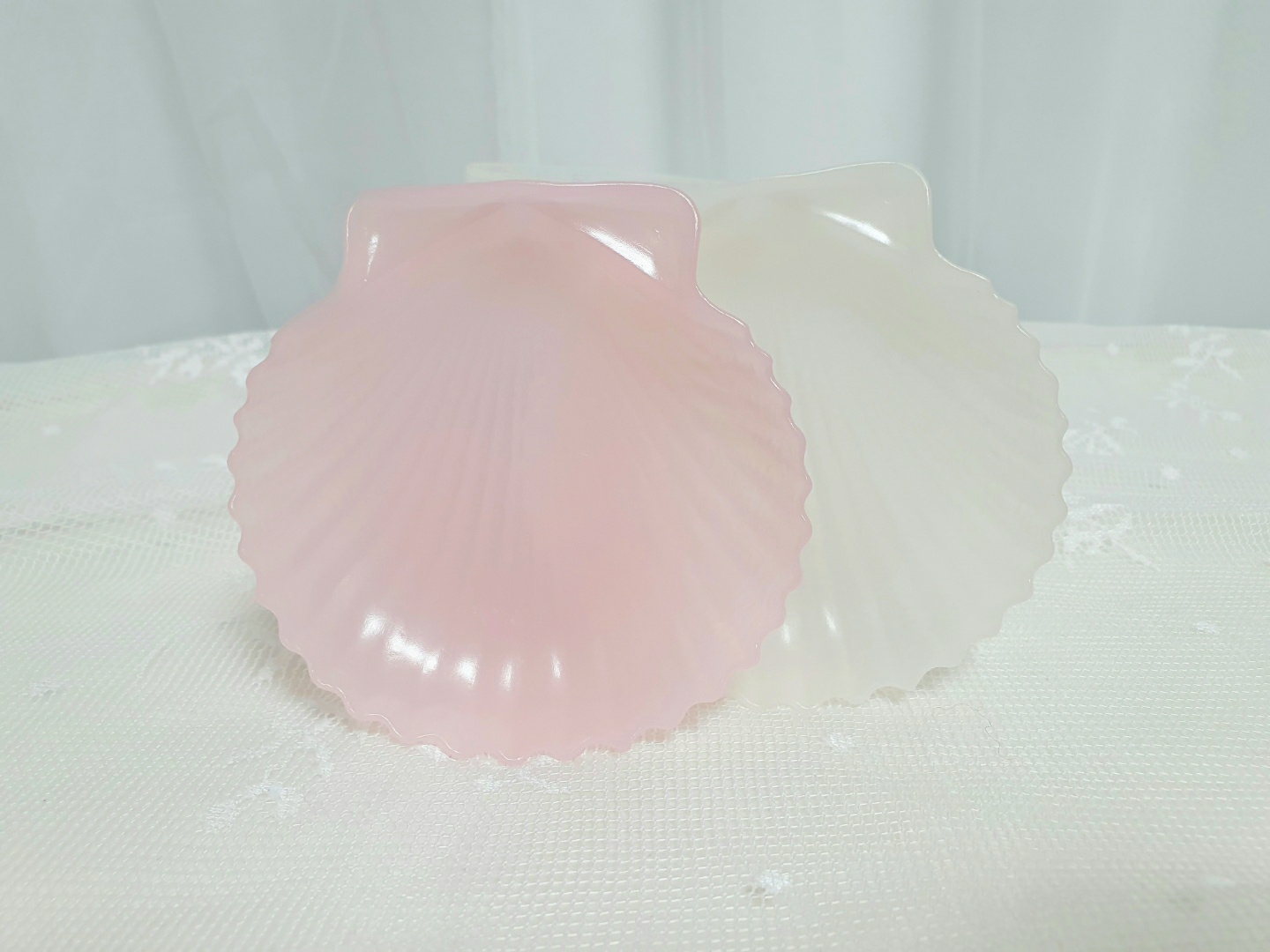 조가비 트레이🐚