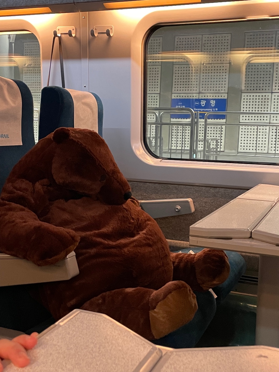 가르곰🐻🤎