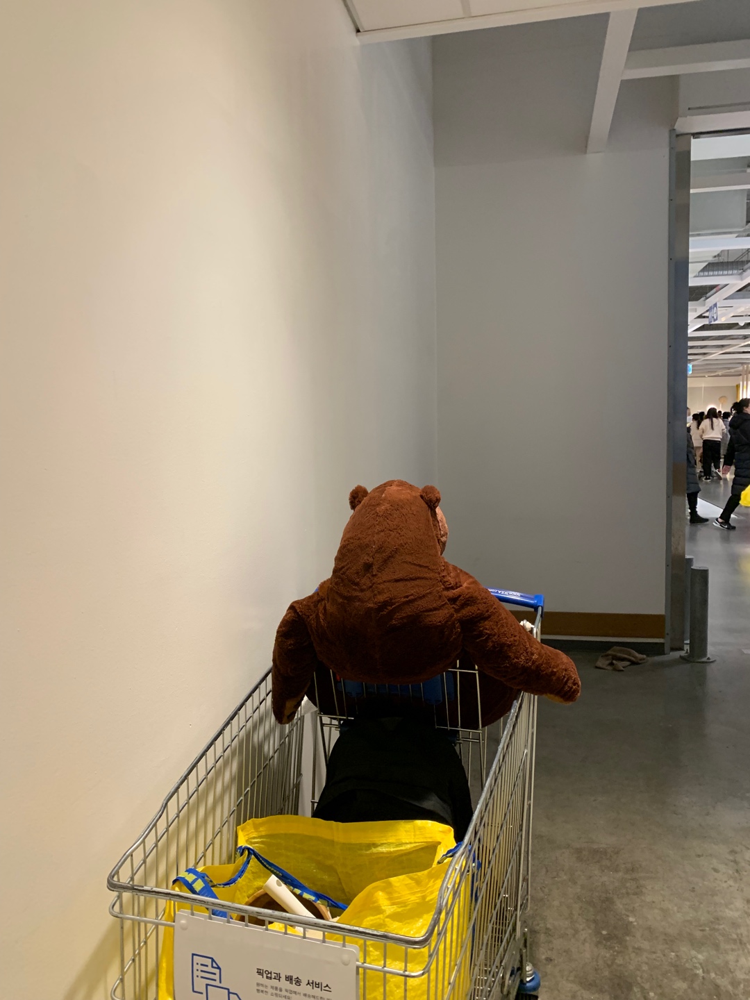 가르곰🐻🤎