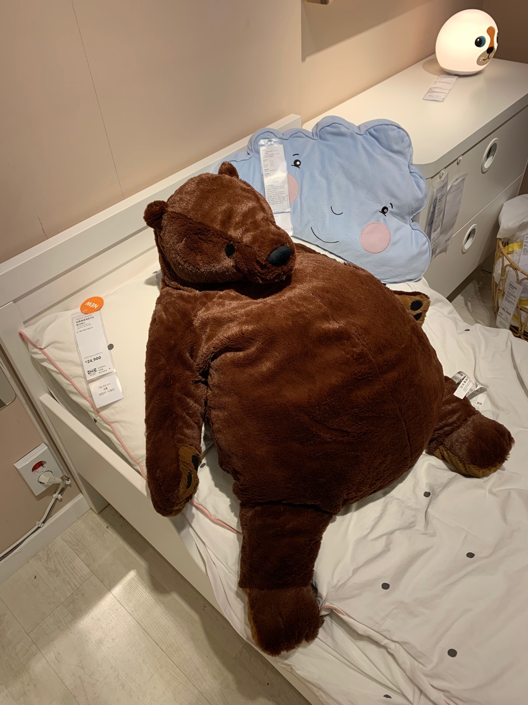 가르곰🐻🤎