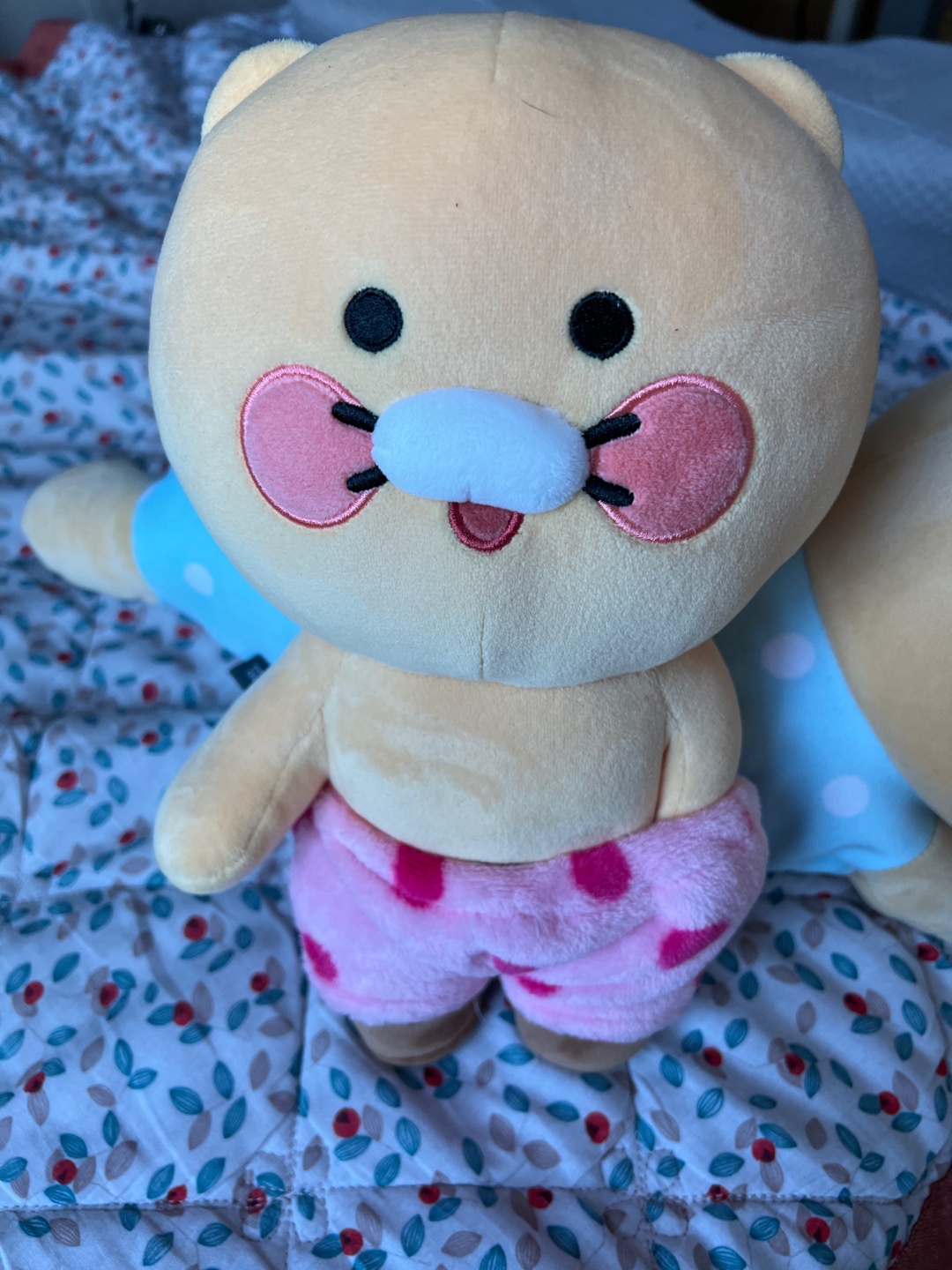 껄렁한 춘식이