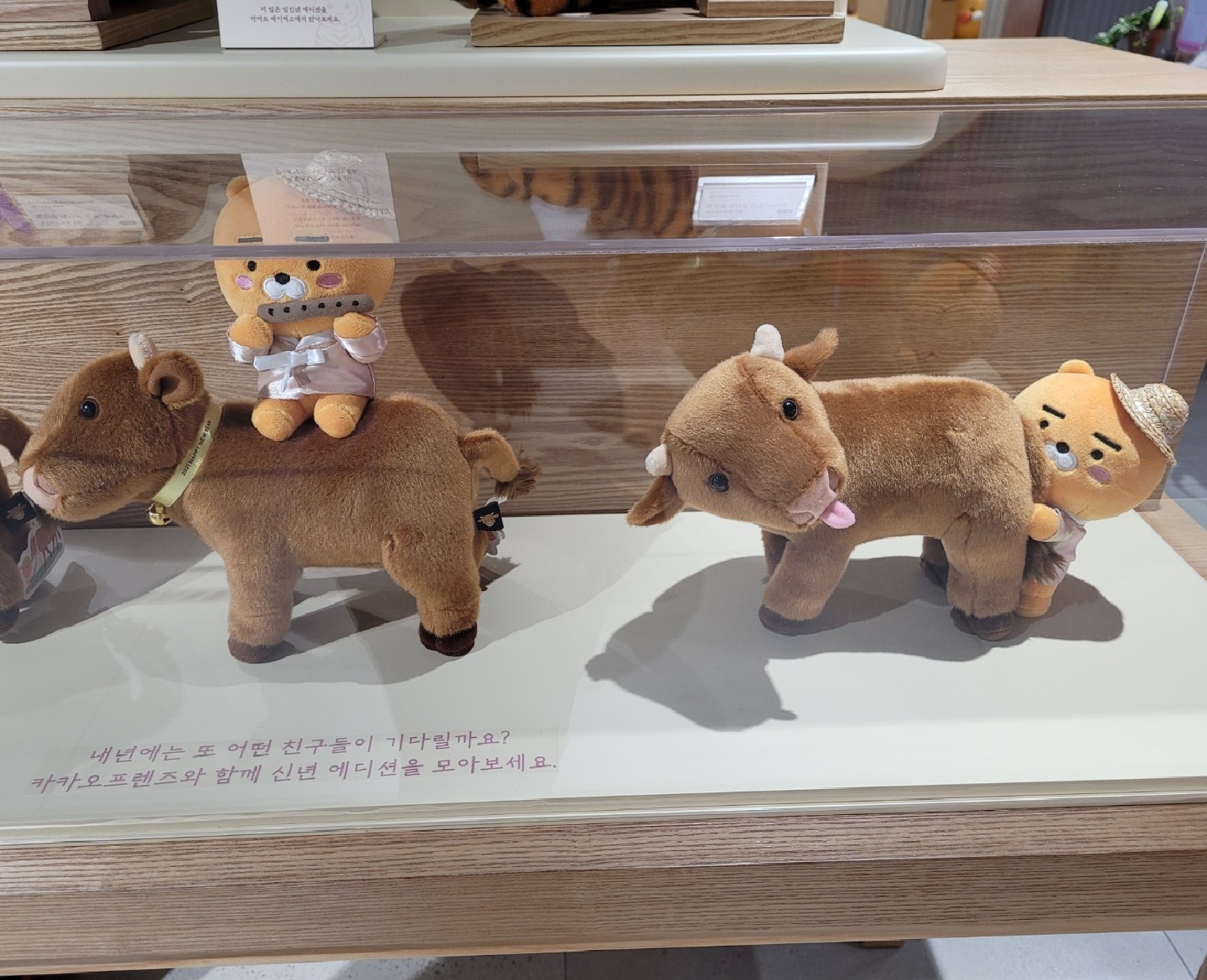임인년 라이언 춘식이🐯