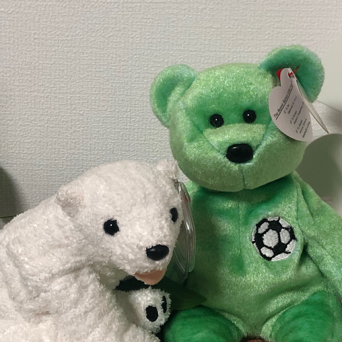 ty베어🤍💚