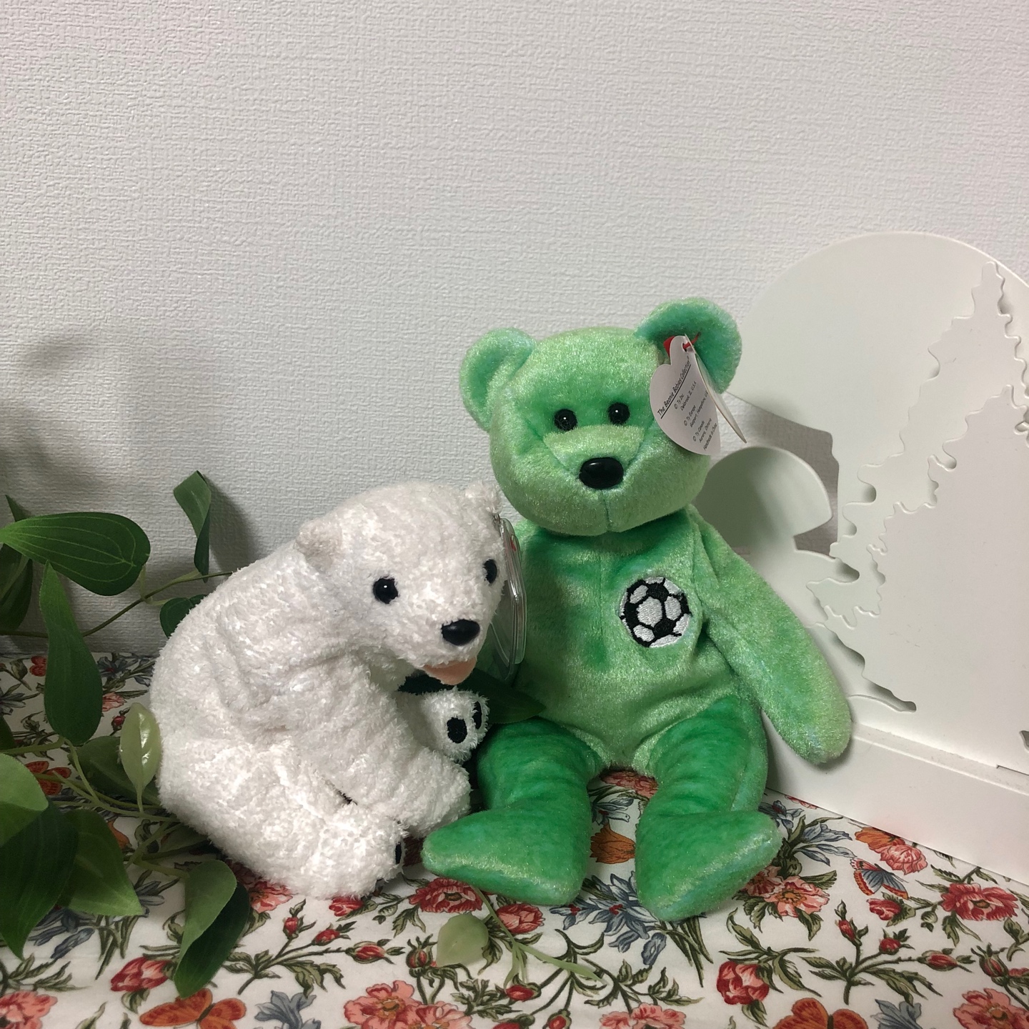 ty베어🤍💚