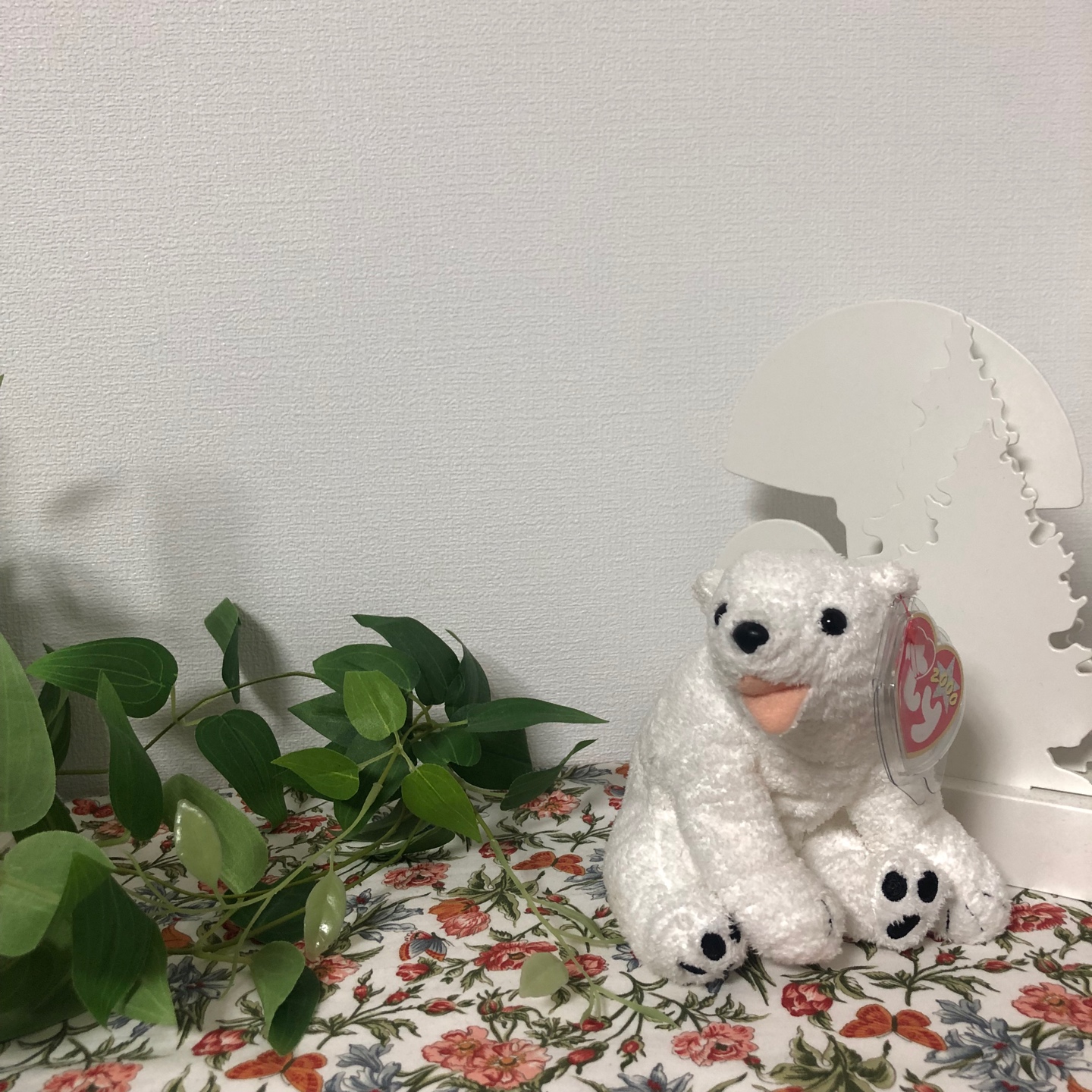ty베어🤍💚