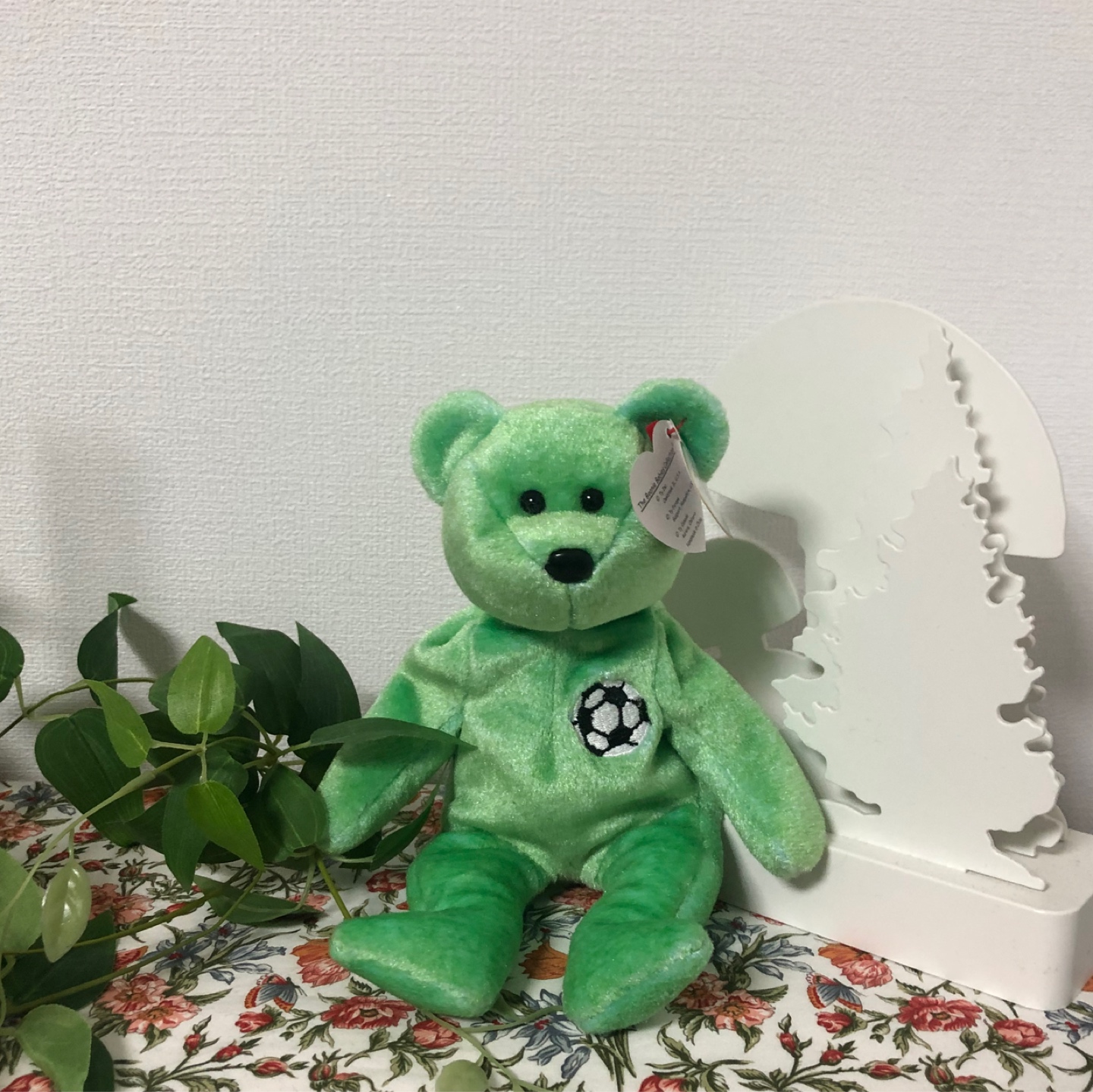 ty베어🤍💚
