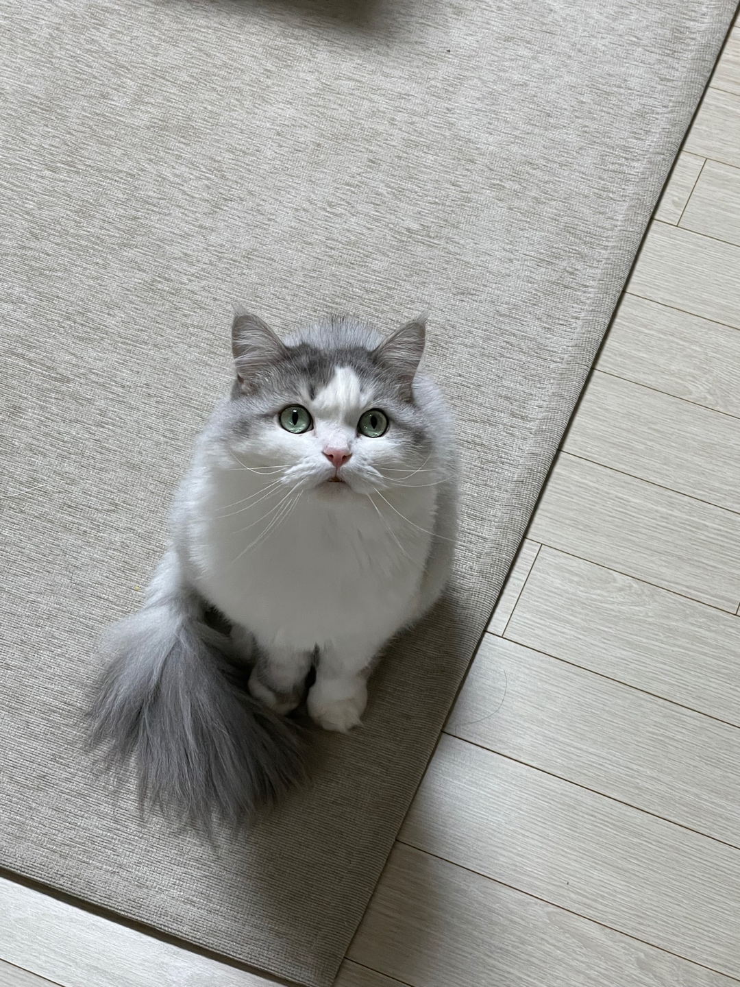 너무귀여워 ☺︎