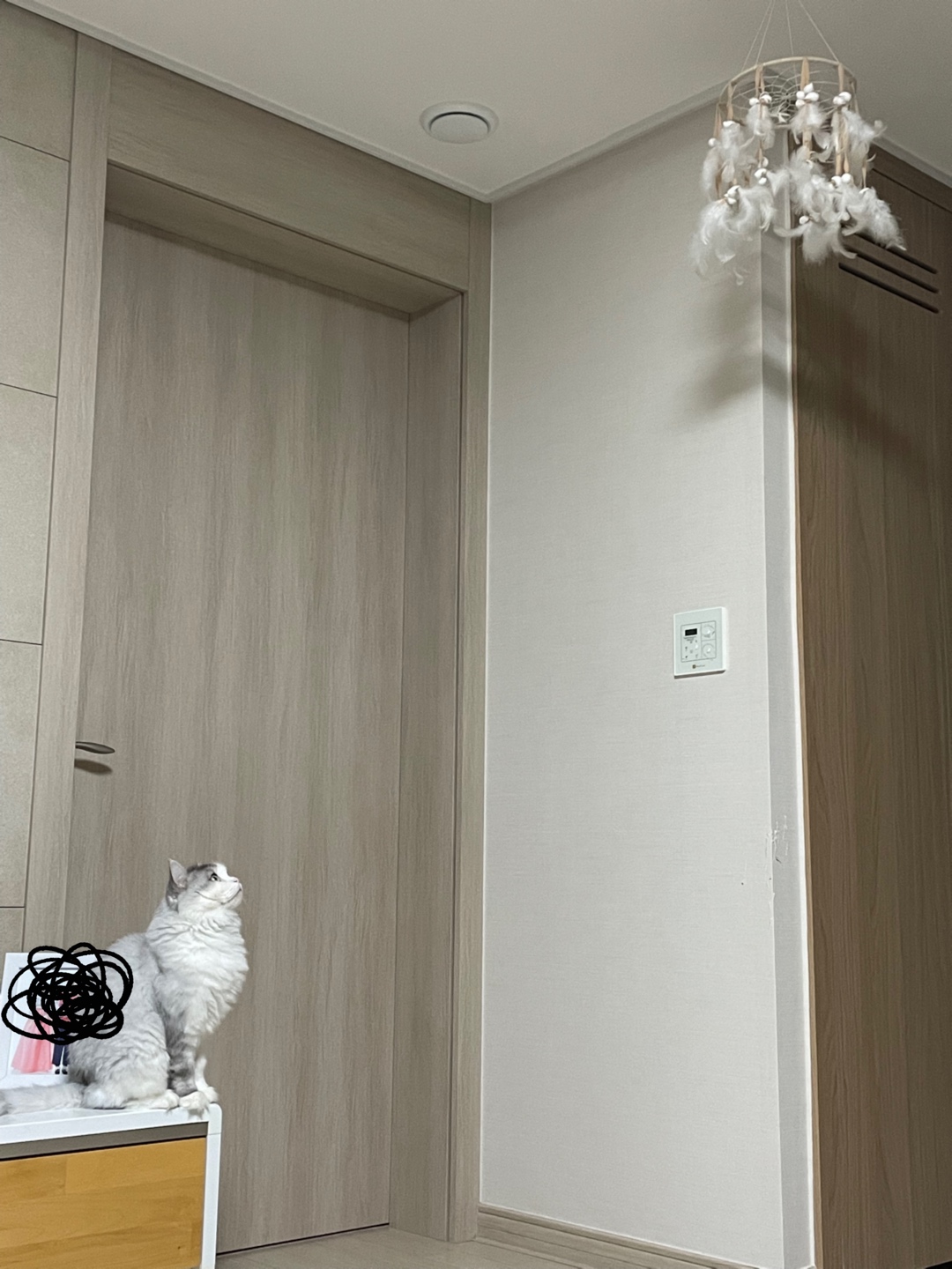 너무귀여워 ☺︎