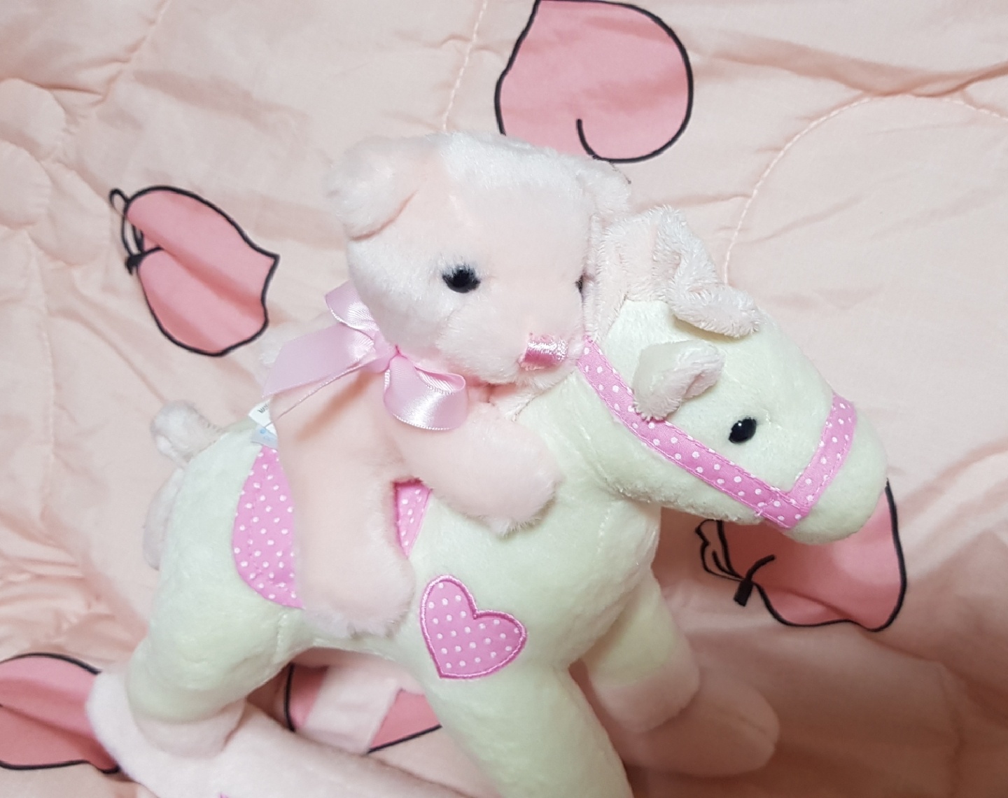 ❤내 최애곰들🧸