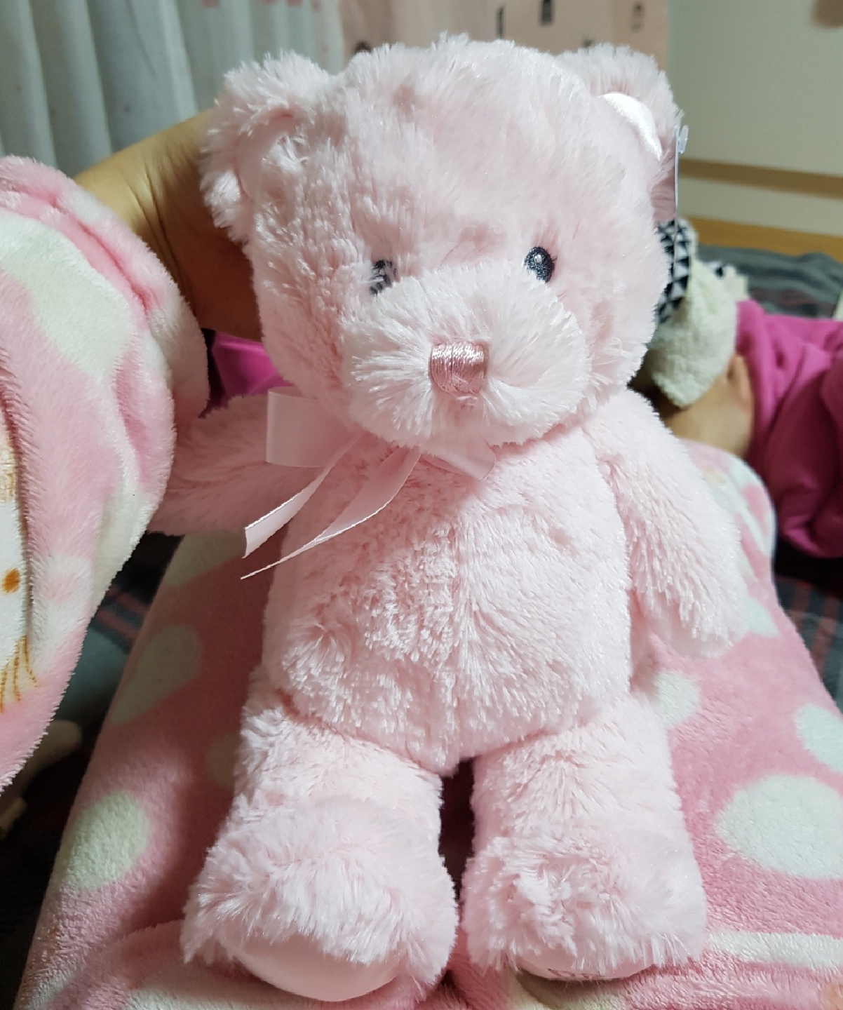 ❤내 최애곰들🧸