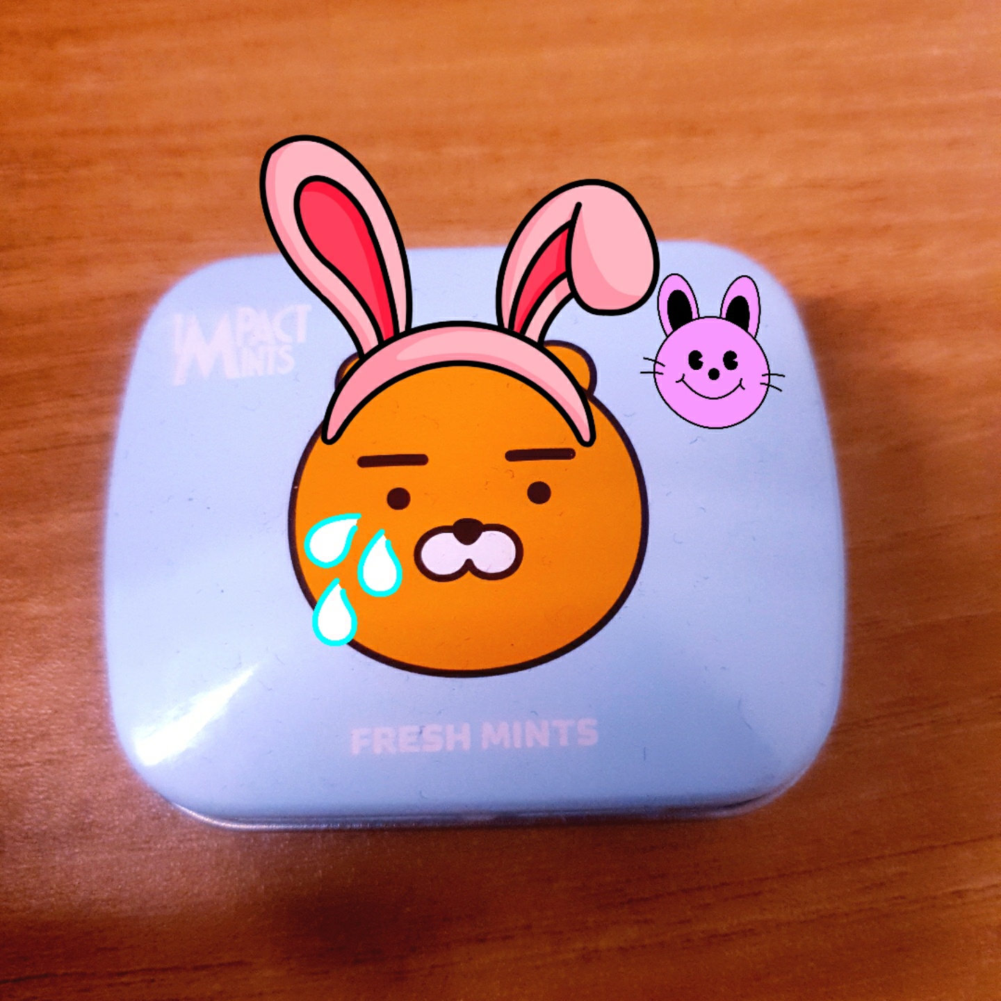 라이언이 토끼가 됐어요~