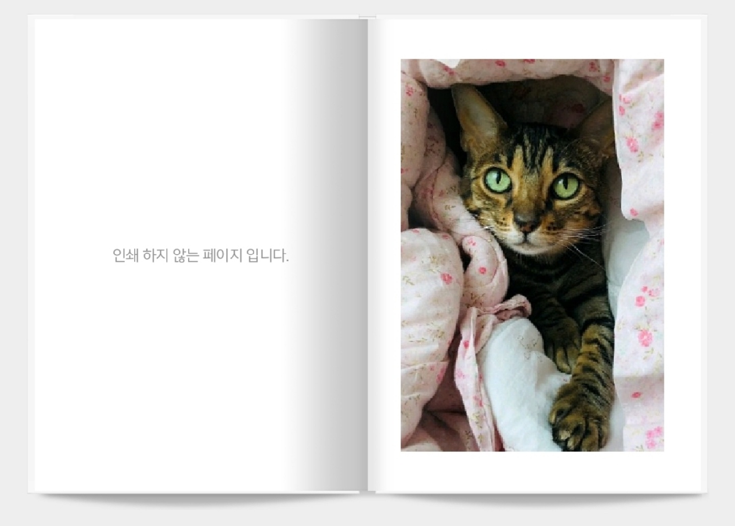 주인님 포토북