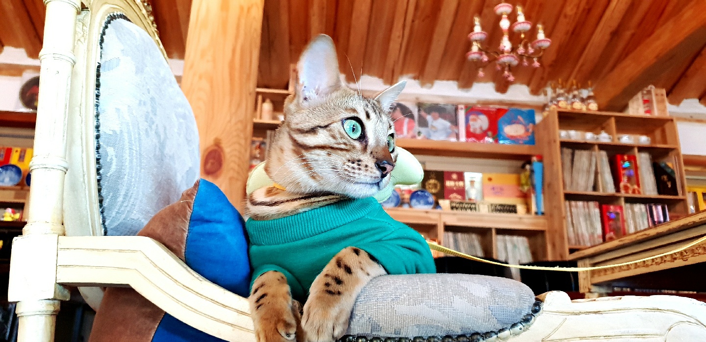 티오