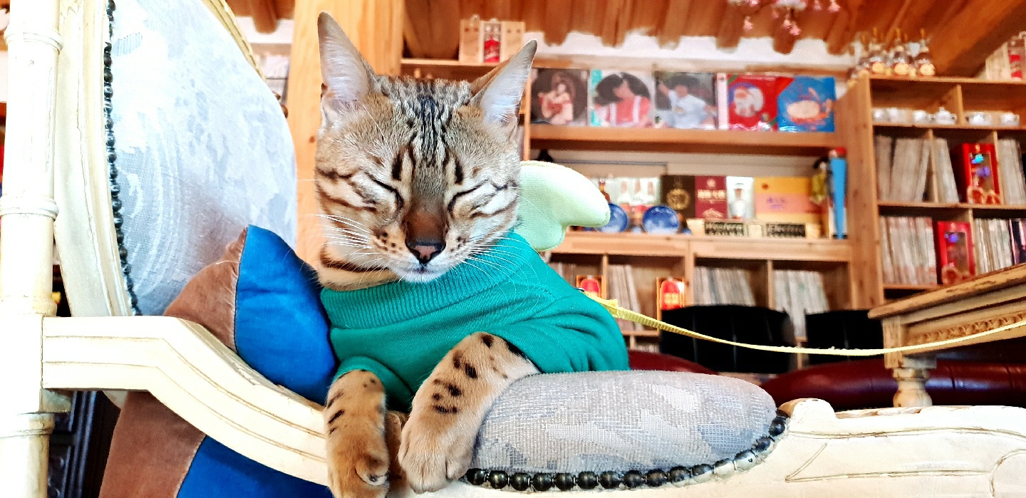 티오