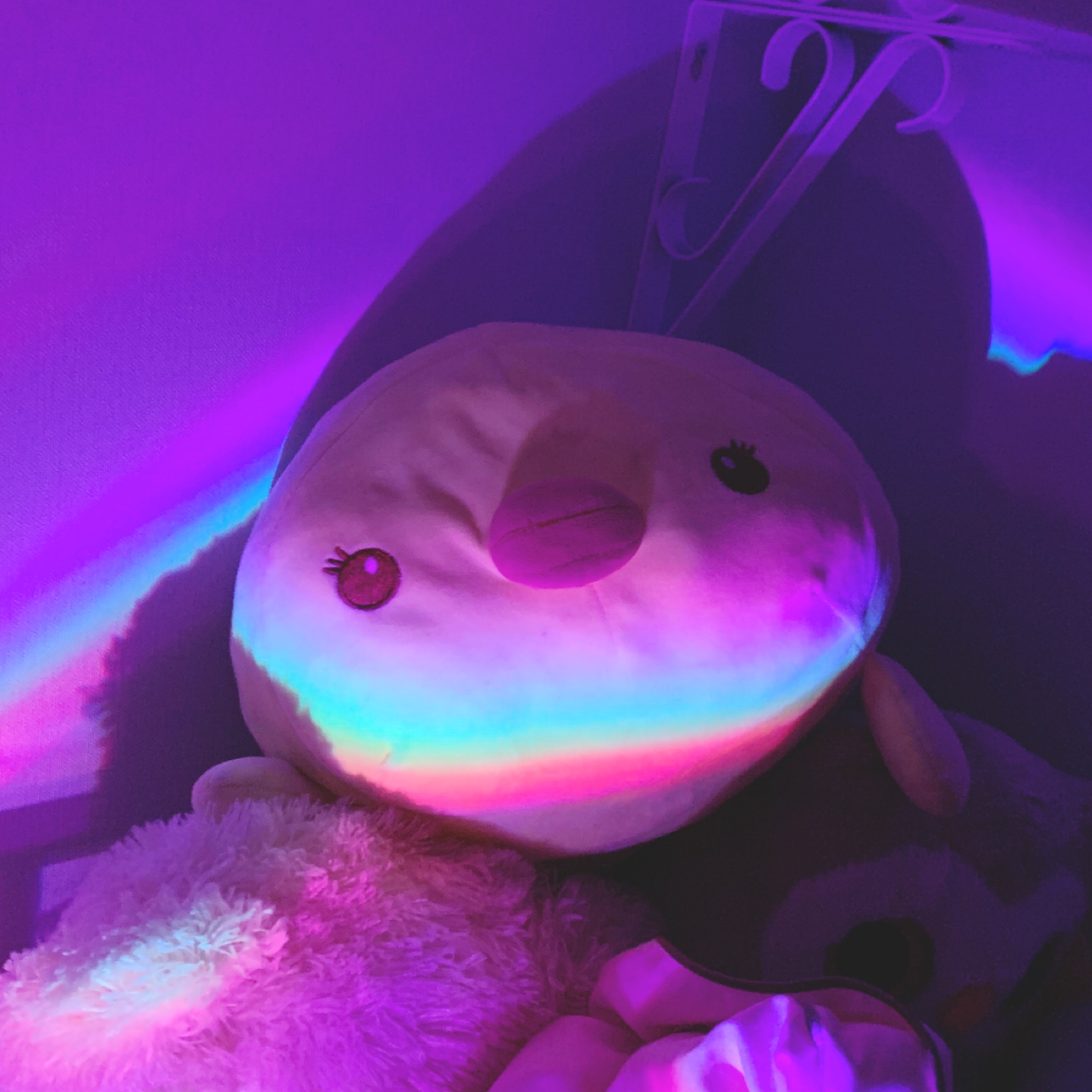 안녕하세용!!