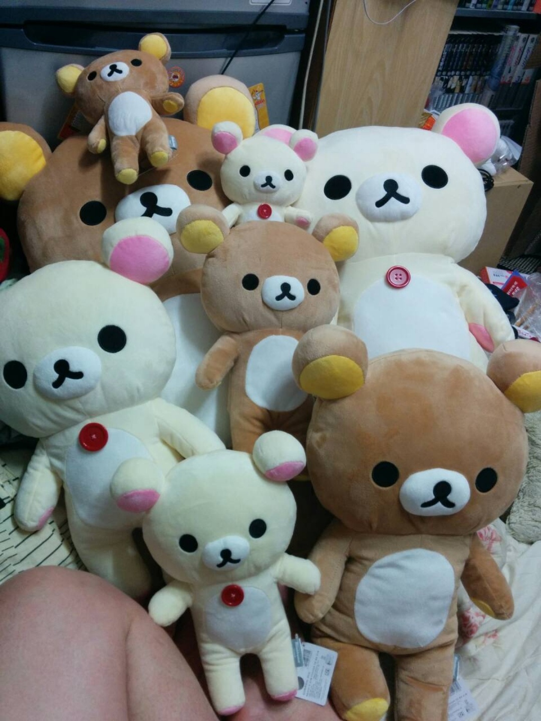 [최애곰] 리락쿠마♡