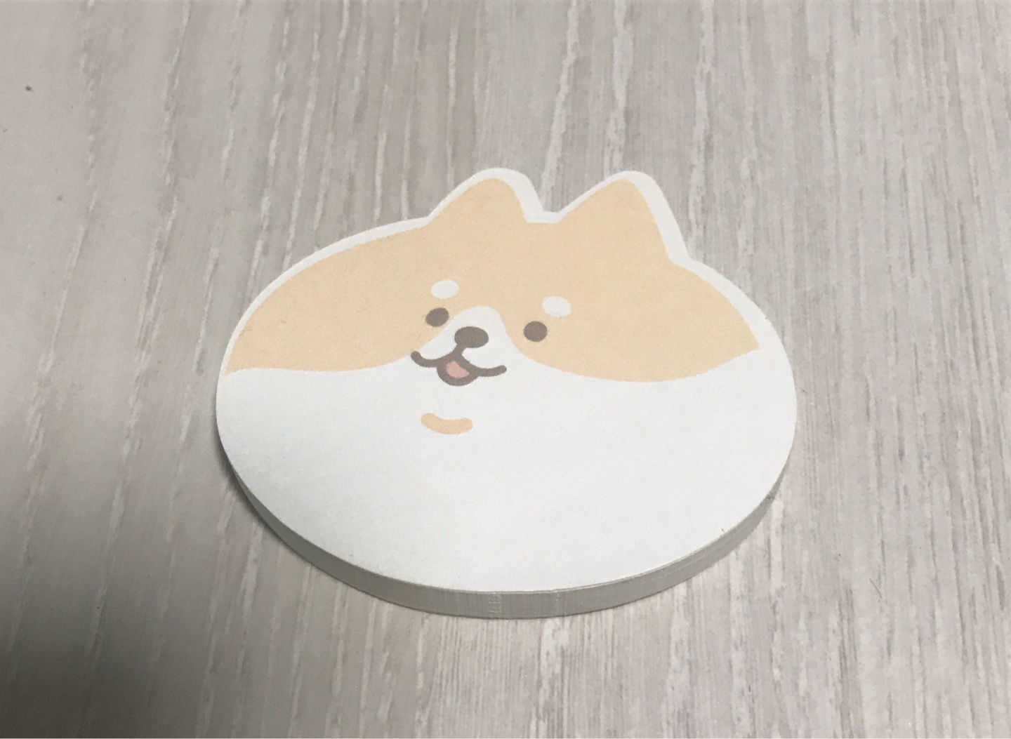 귀여운 시바 포스트잇:)