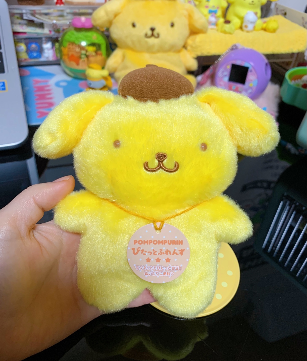 서있는 푸린이