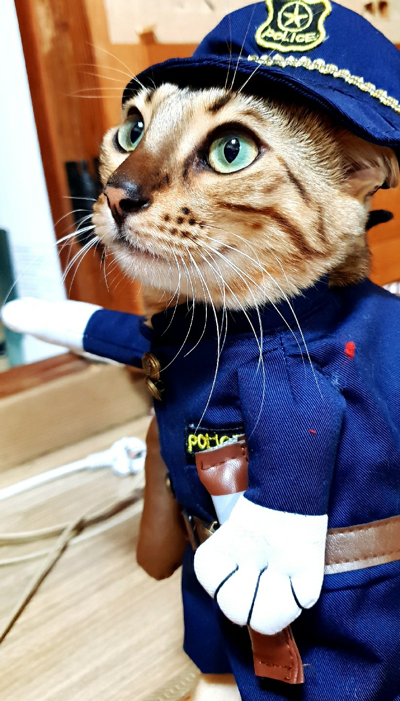 경찰의상 티오님