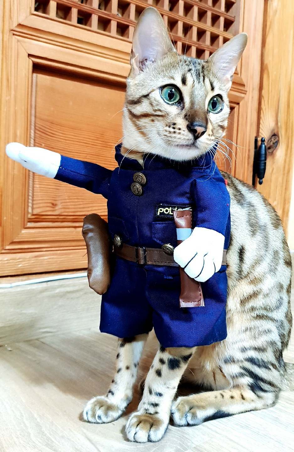 경찰의상 티오님