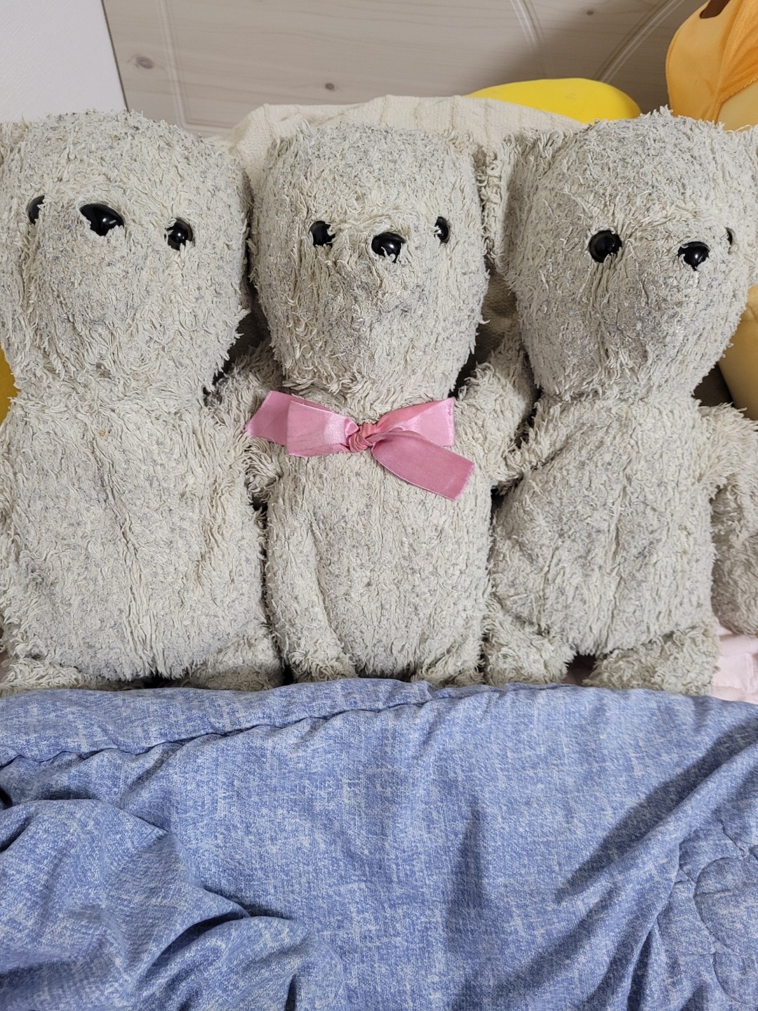 [최애곰] 우리 다섯째♡