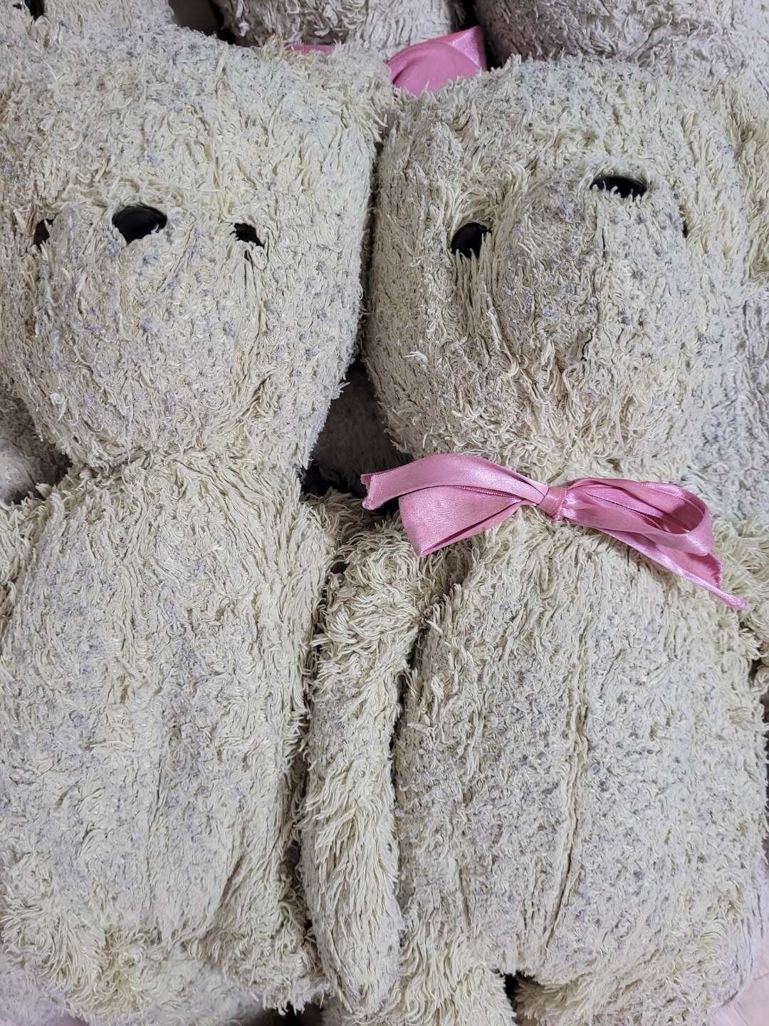 [최애곰] 우리 여섯째♡