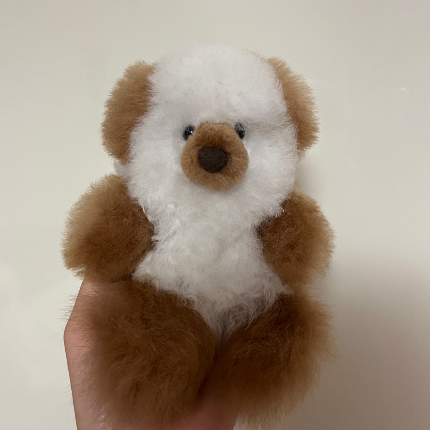 [최애곰] 컴발리 알파카 곰돌이
