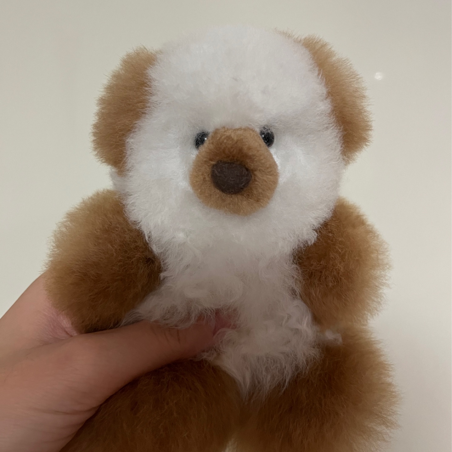 [최애곰] 컴발리 알파카 곰돌이