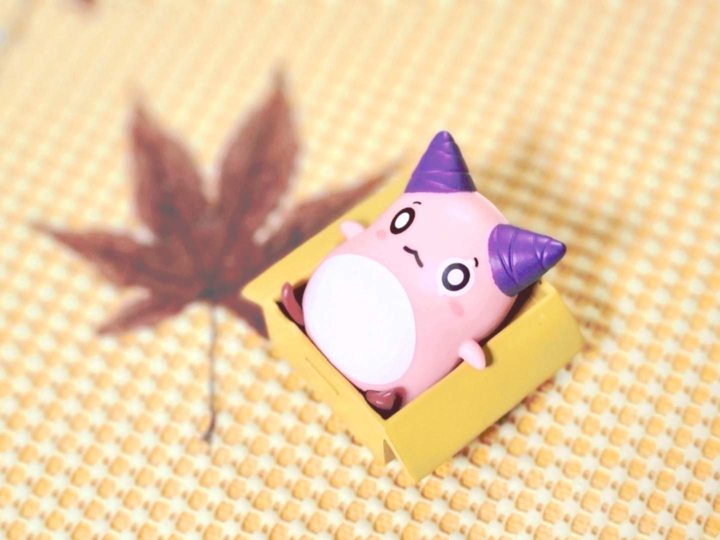 🌿아기자기 핑크빈🌿