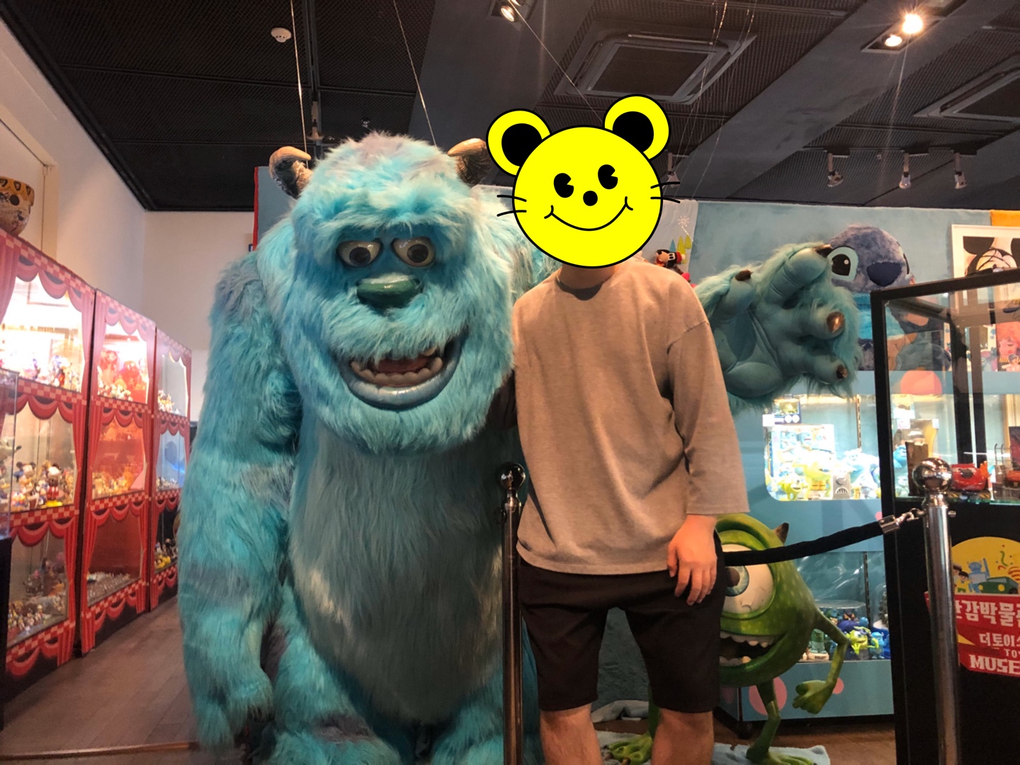 설리와 함께
