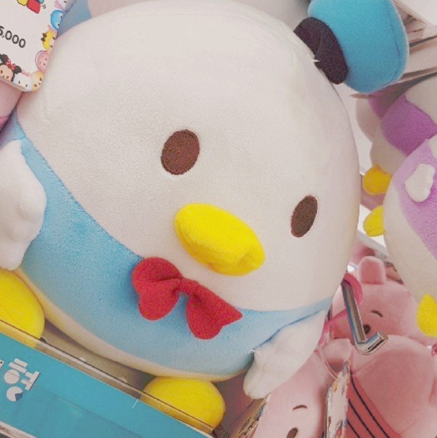 🐥오링🐥