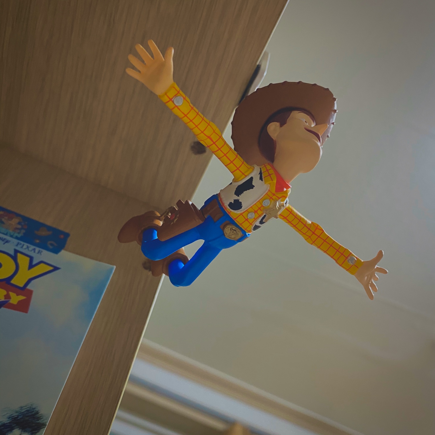 TOY STORY