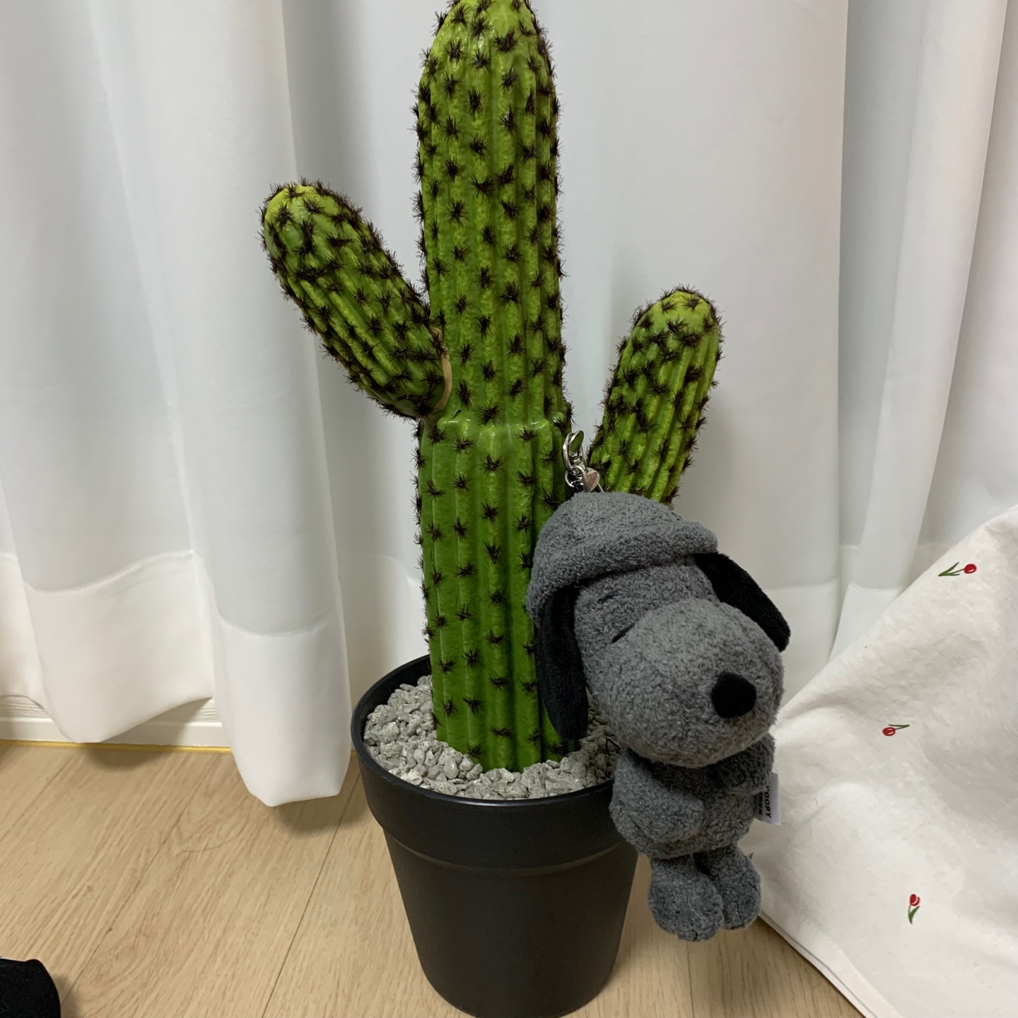 스누피 돌하르방🗿