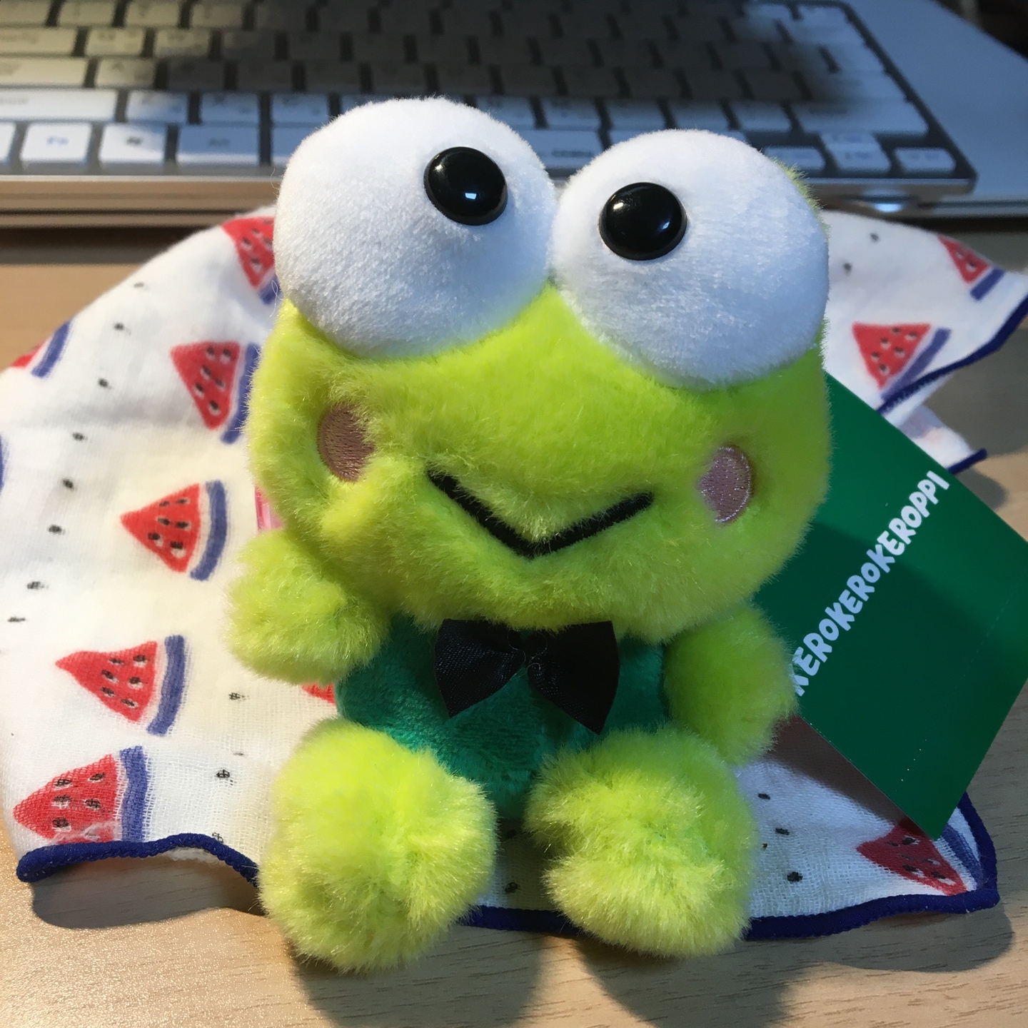 💚 언제까지나 케로피 💚